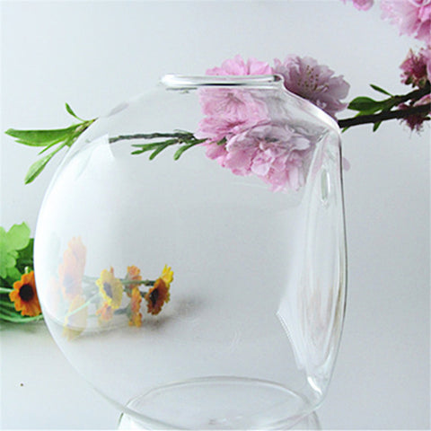 Glass Vase Wall Hanging Hydroponic Terrarium Fish Tanks  Home Decor CA