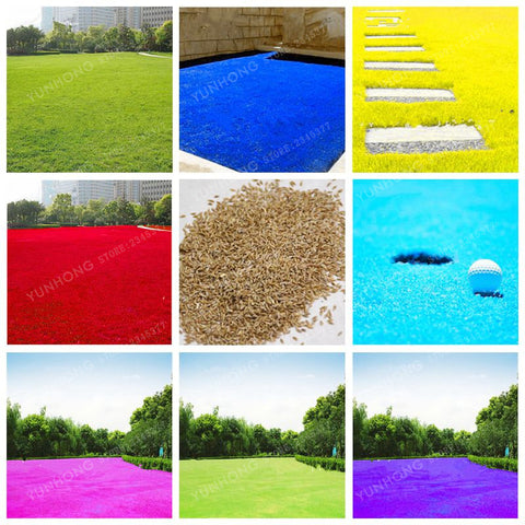 500 Pcs Rare Blue Grass Seed Lawn Seed Perennial Flowers Garden