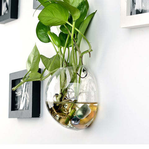 Glass Vase Wall Hanging Hydroponic Terrarium Fish Tanks  Home Decor CA