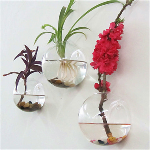 Glass Vase Wall Hanging Hydroponic Terrarium Fish Tanks  Home Decor CA